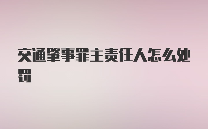 交通肇事罪主责任人怎么处罚