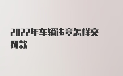 2022年车辆违章怎样交罚款