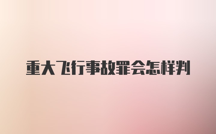 重大飞行事故罪会怎样判