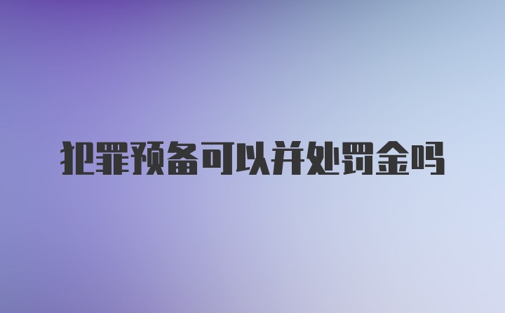 犯罪预备可以并处罚金吗