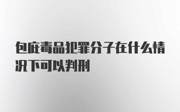 包庇毒品犯罪分子在什么情况下可以判刑