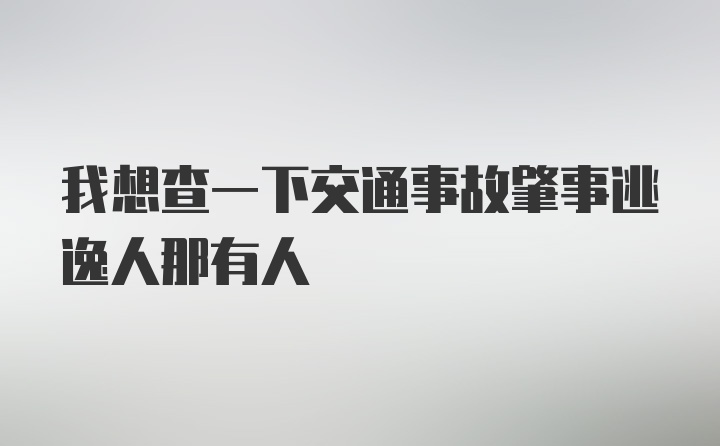 我想查一下交通事故肇事逃逸人那有人