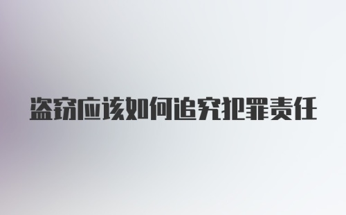 盗窃应该如何追究犯罪责任