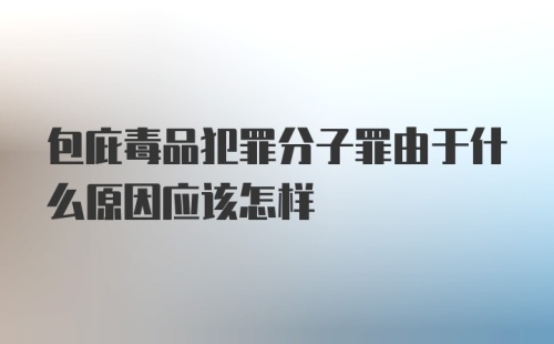 包庇毒品犯罪分子罪由于什么原因应该怎样