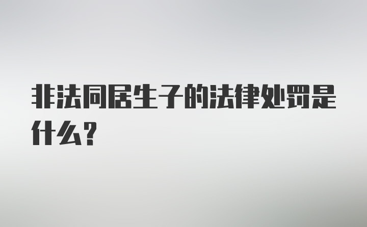 非法同居生子的法律处罚是什么?