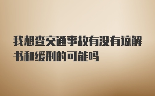 我想查交通事故有没有谅解书和缓刑的可能吗