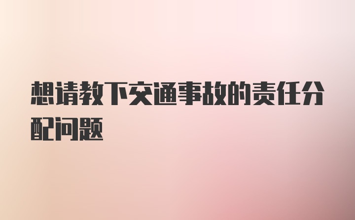 想请教下交通事故的责任分配问题