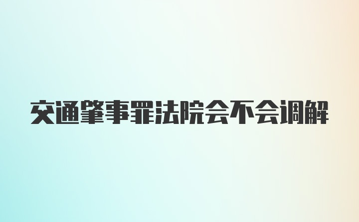 交通肇事罪法院会不会调解