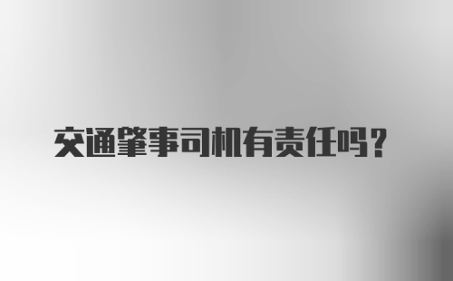 交通肇事司机有责任吗？