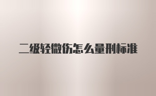 二级轻微伤怎么量刑标准