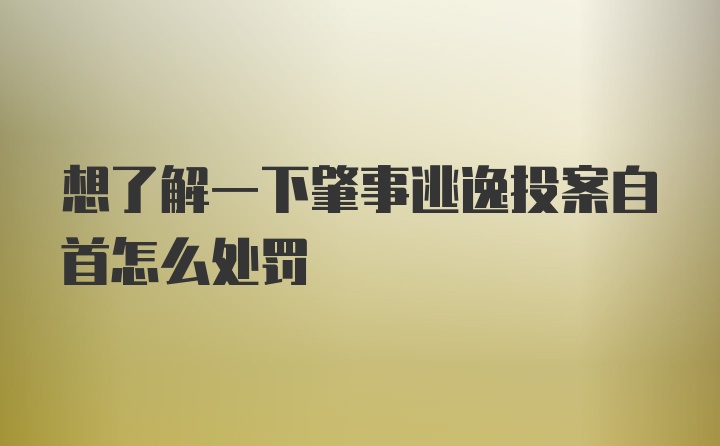 想了解一下肇事逃逸投案自首怎么处罚