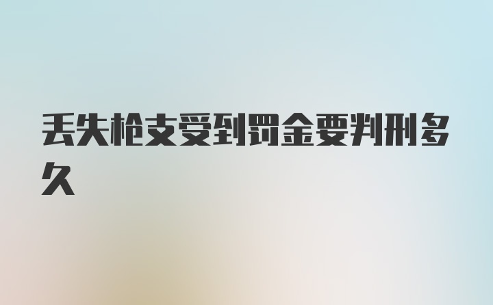 丢失枪支受到罚金要判刑多久