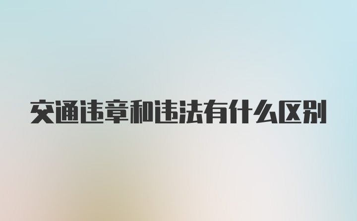 交通违章和违法有什么区别