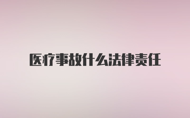 医疗事故什么法律责任