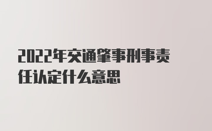 2022年交通肇事刑事责任认定什么意思