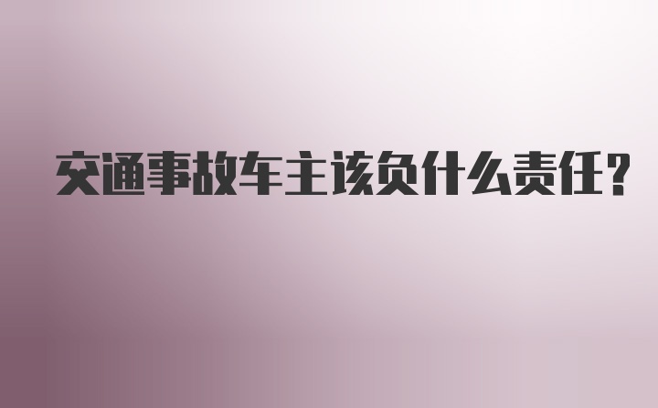 交通事故车主该负什么责任？