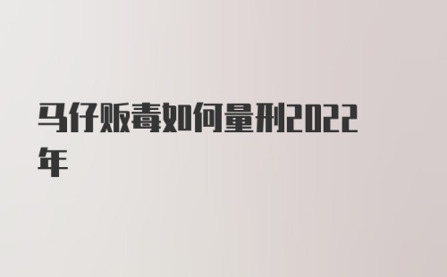 马仔贩毒如何量刑2022年