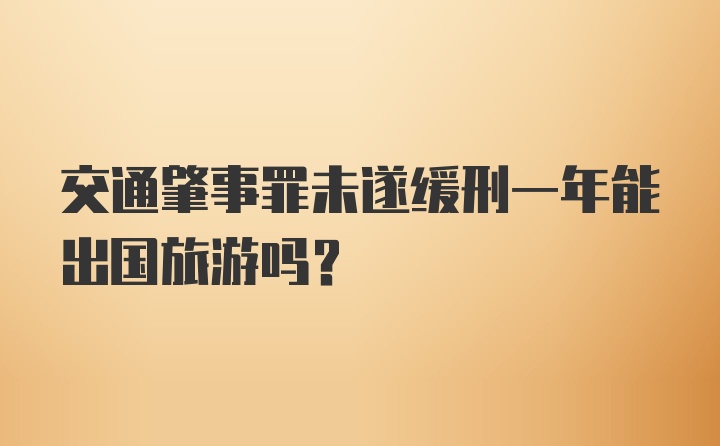 交通肇事罪未遂缓刑一年能出国旅游吗?