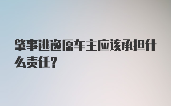 肇事逃逸原车主应该承担什么责任？