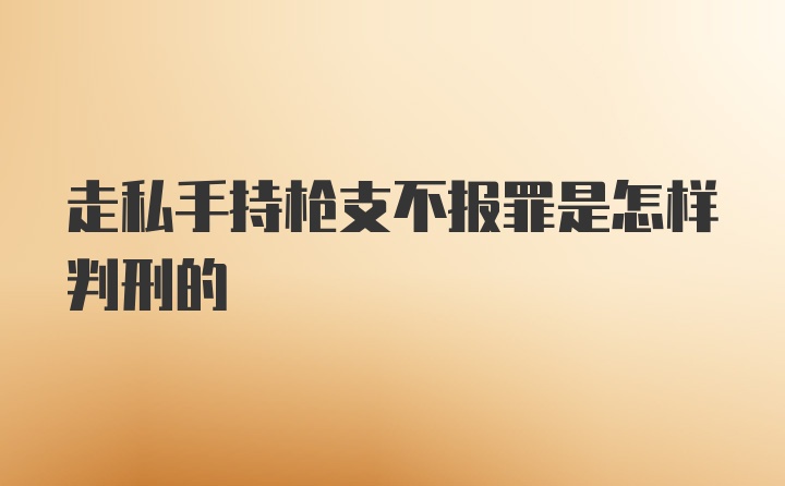 走私手持枪支不报罪是怎样判刑的