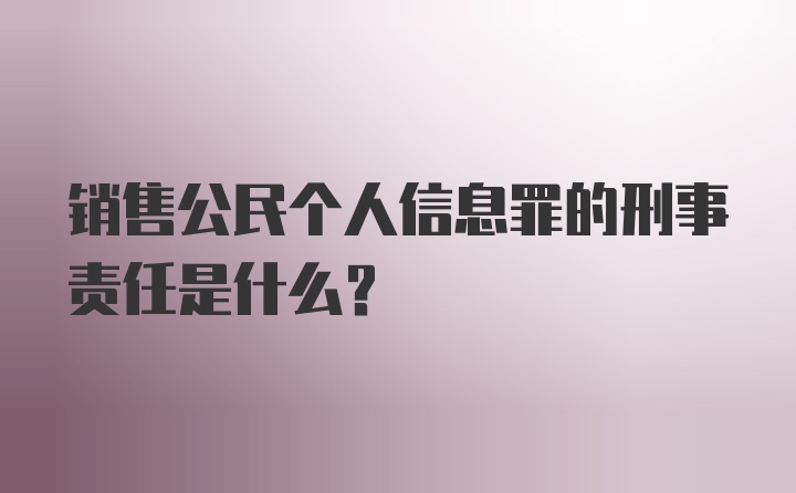 销售公民个人信息罪的刑事责任是什么？