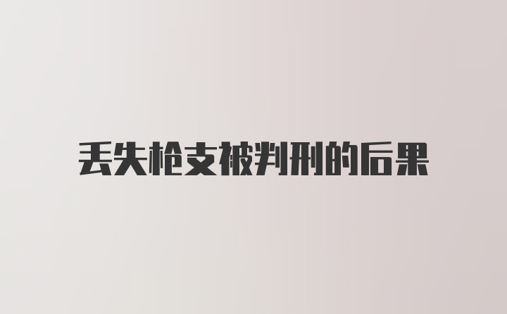 丢失枪支被判刑的后果