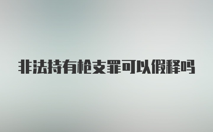 非法持有枪支罪可以假释吗