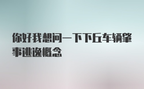 你好我想问一下下丘车辆肇事逃逸概念