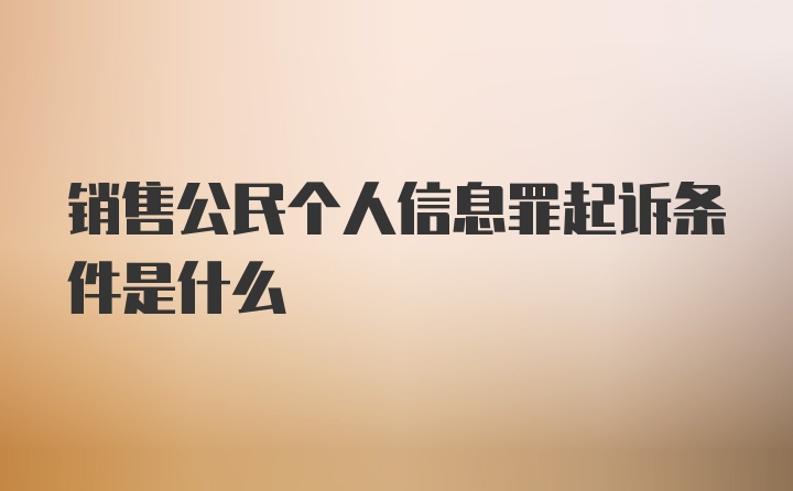 销售公民个人信息罪起诉条件是什么