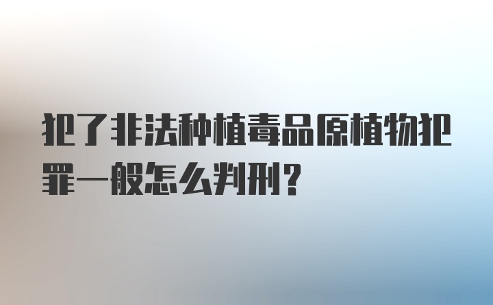 犯了非法种植毒品原植物犯罪一般怎么判刑？