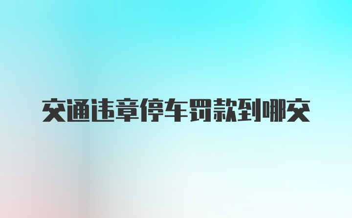 交通违章停车罚款到哪交