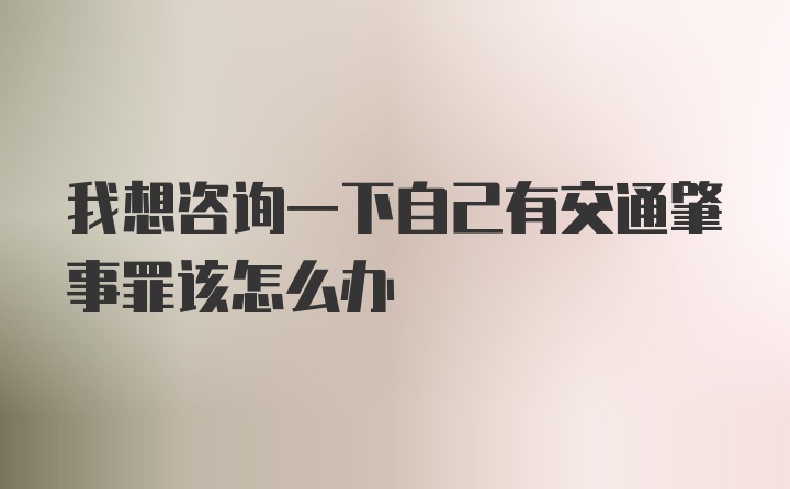 我想咨询一下自己有交通肇事罪该怎么办