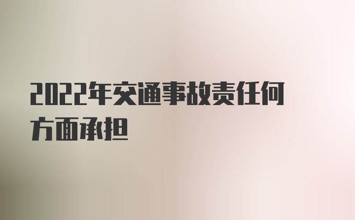 2022年交通事故责任何方面承担