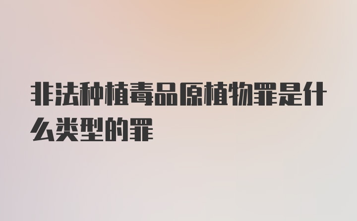 非法种植毒品原植物罪是什么类型的罪