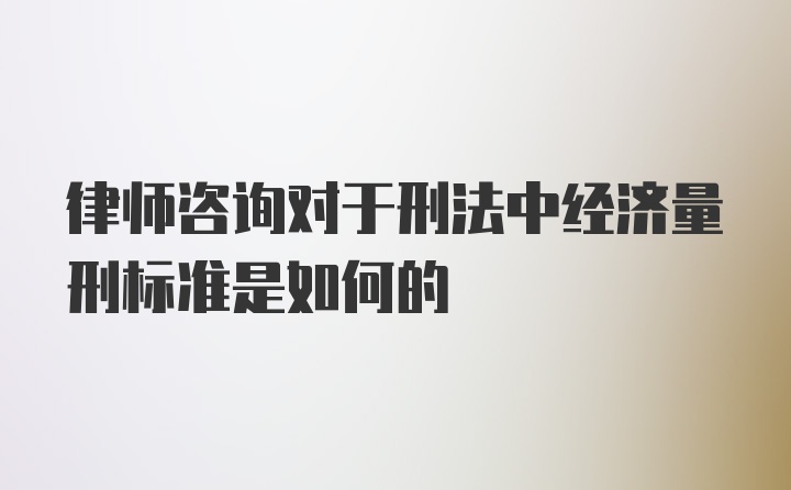 律师咨询对于刑法中经济量刑标准是如何的