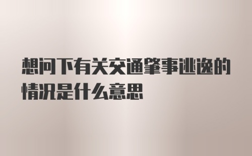 想问下有关交通肇事逃逸的情况是什么意思