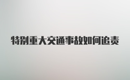 特别重大交通事故如何追责