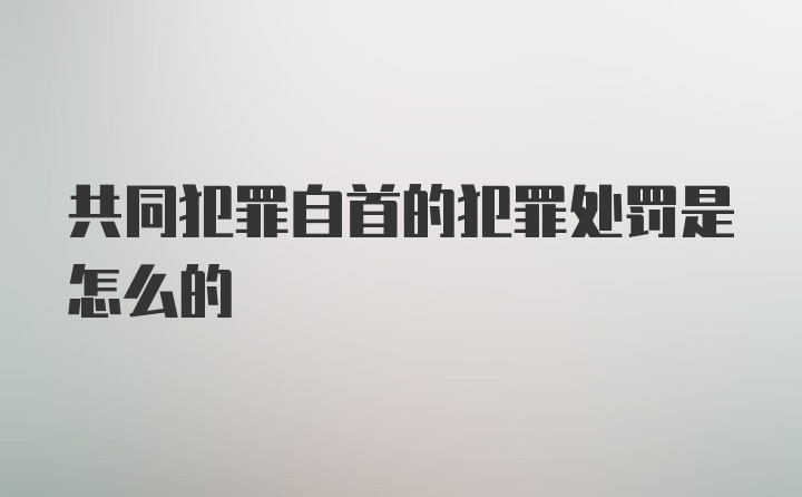 共同犯罪自首的犯罪处罚是怎么的