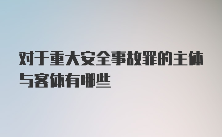 对于重大安全事故罪的主体与客体有哪些