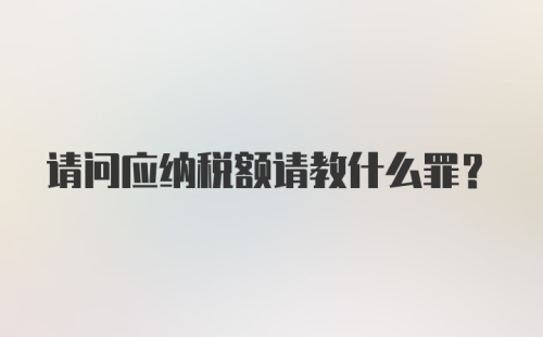 请问应纳税额请教什么罪？