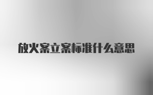 放火案立案标准什么意思