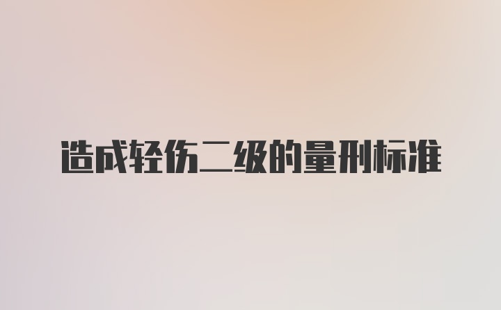 造成轻伤二级的量刑标准