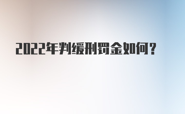 2022年判缓刑罚金如何？