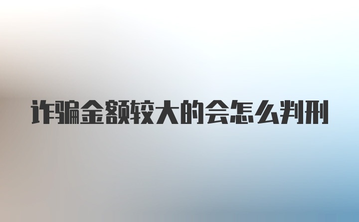 诈骗金额较大的会怎么判刑