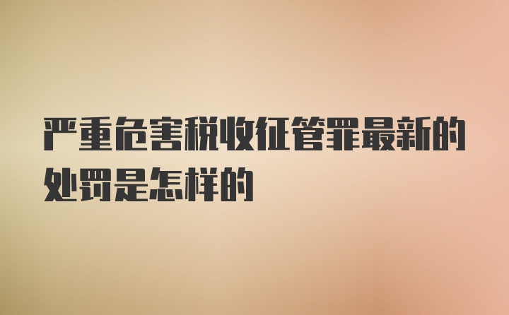 严重危害税收征管罪最新的处罚是怎样的