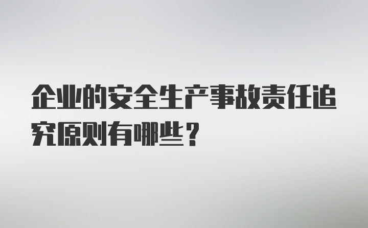 企业的安全生产事故责任追究原则有哪些？