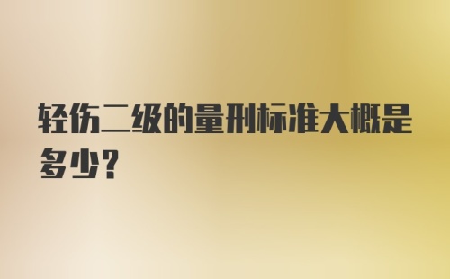 轻伤二级的量刑标准大概是多少？