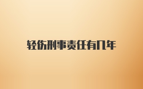 轻伤刑事责任有几年