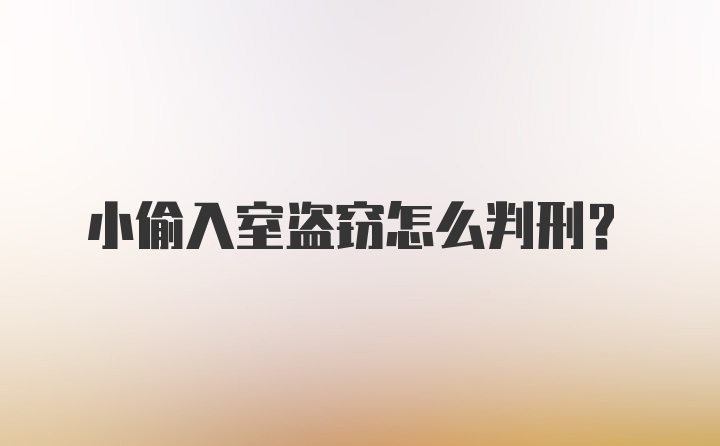 小偷入室盗窃怎么判刑？