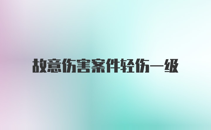 故意伤害案件轻伤一级